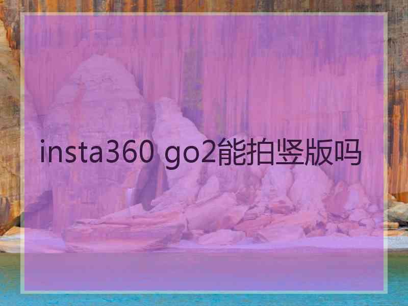 insta360 go2能拍竖版吗