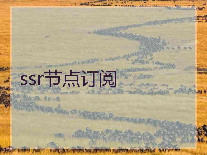 ssr节点订阅