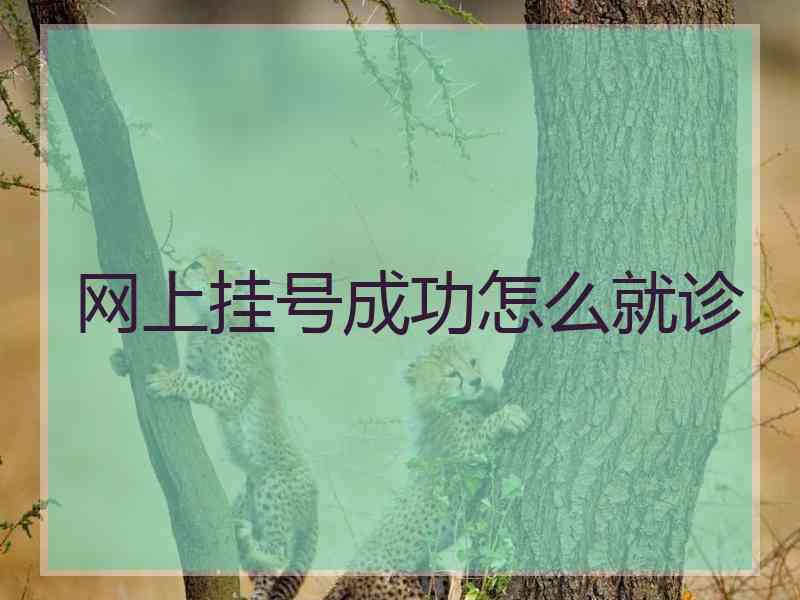网上挂号成功怎么就诊