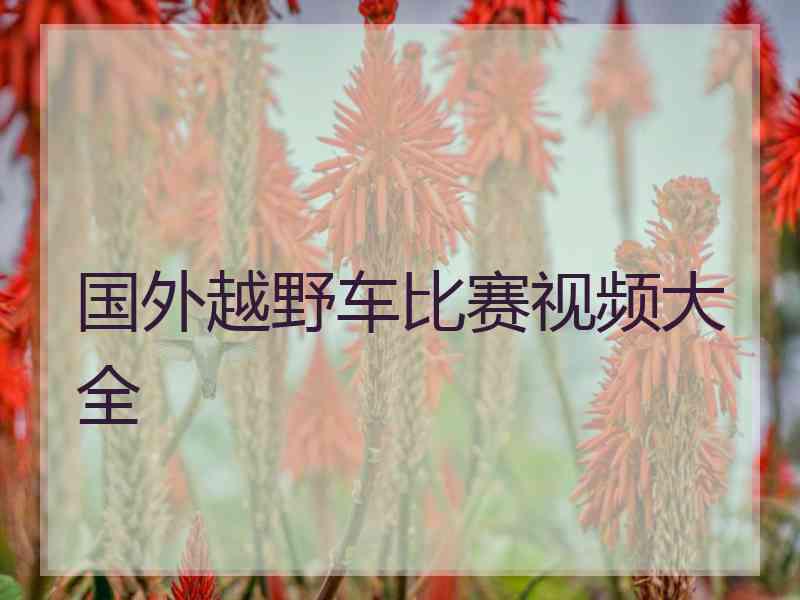 国外越野车比赛视频大全