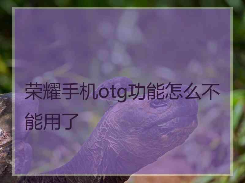 荣耀手机otg功能怎么不能用了