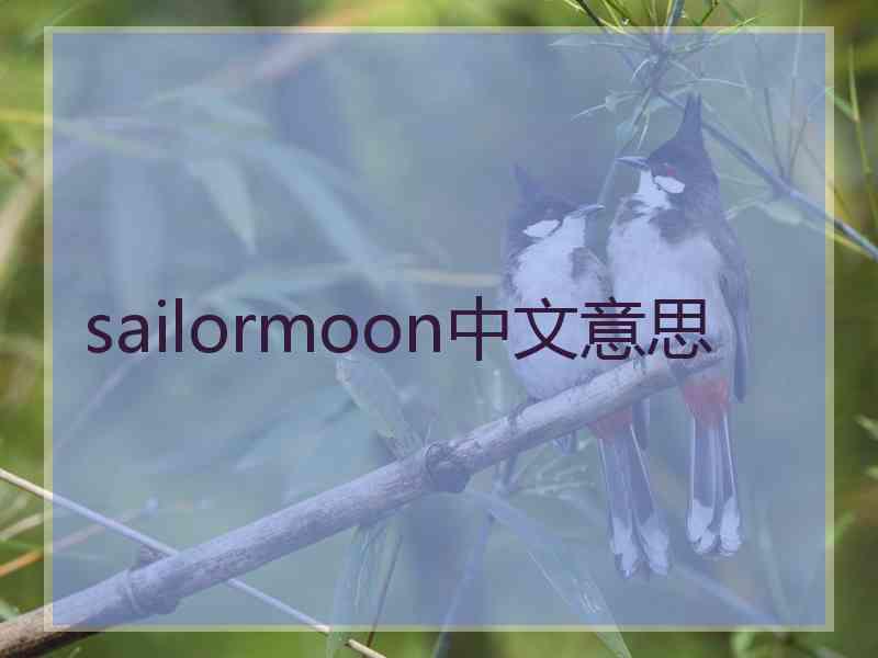 sailormoon中文意思