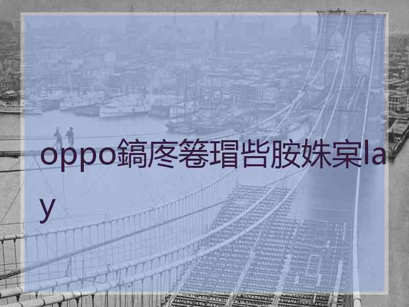 oppo鎬庝箞瑁呰胺姝宲lay