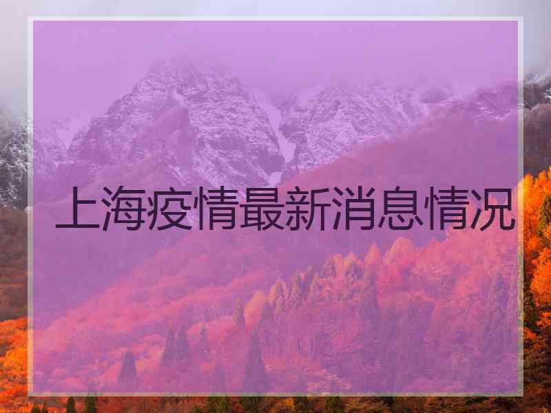上海疫情最新消息情况