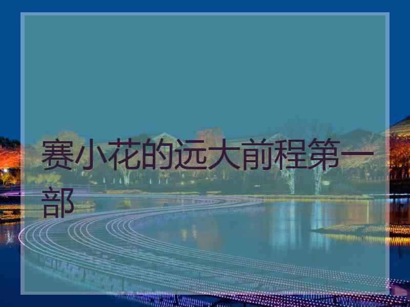 赛小花的远大前程第一部