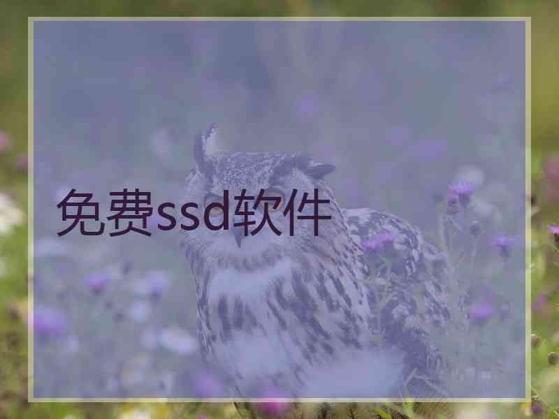 免费ssd软件