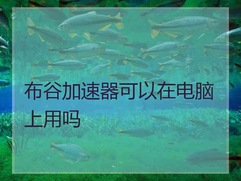 布谷加速器可以在电脑上用吗
