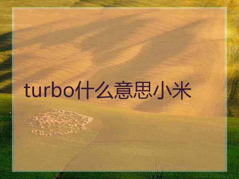 turbo什么意思小米