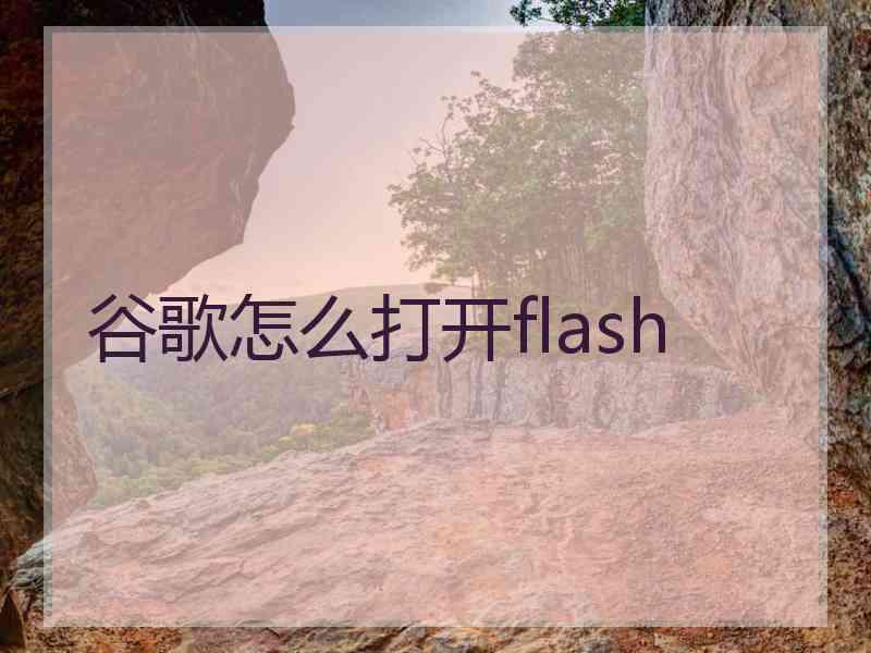 谷歌怎么打开flash