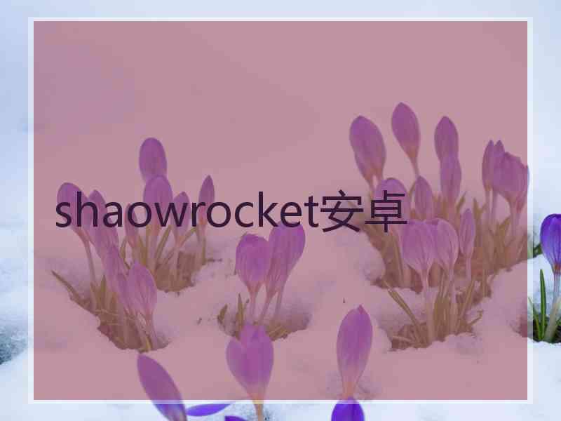 shaowrocket安卓