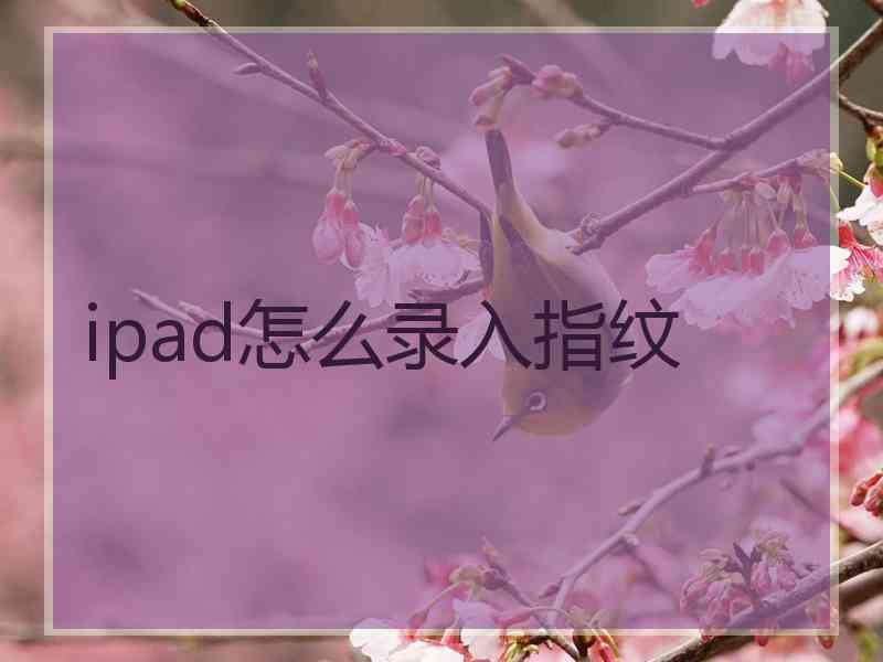 ipad怎么录入指纹