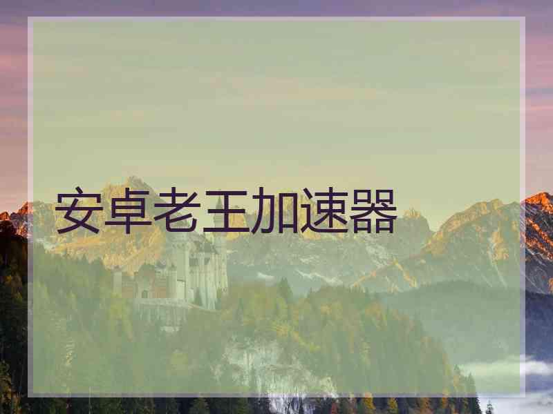 安卓老王加速器