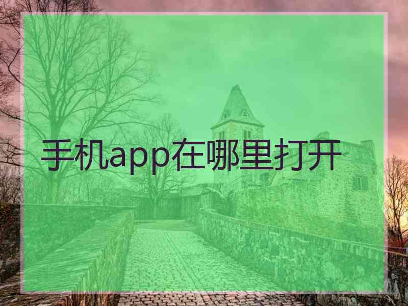 手机app在哪里打开