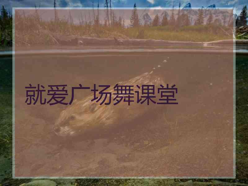 就爱广场舞课堂