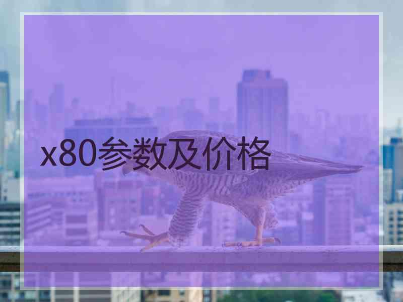 x80参数及价格