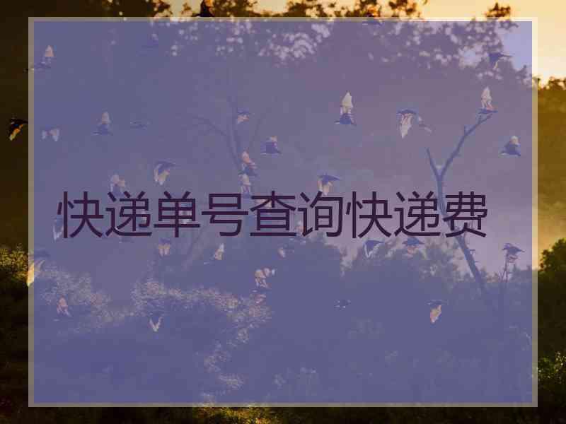 快递单号查询快递费