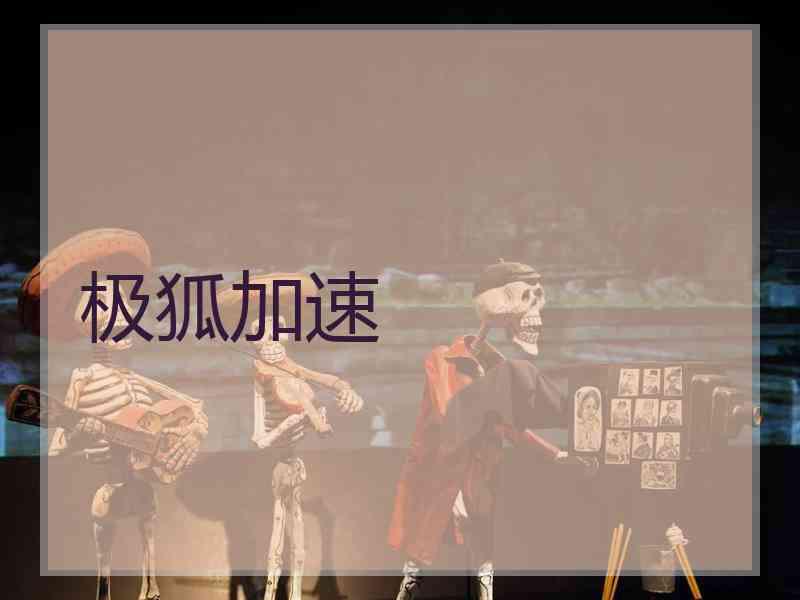 极狐加速