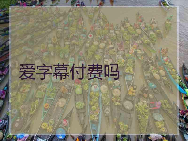 爱字幕付费吗