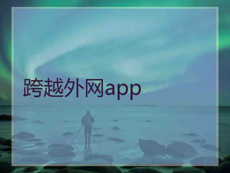 跨越外网app