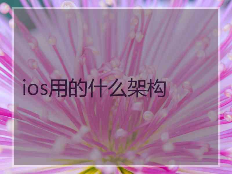 ios用的什么架构