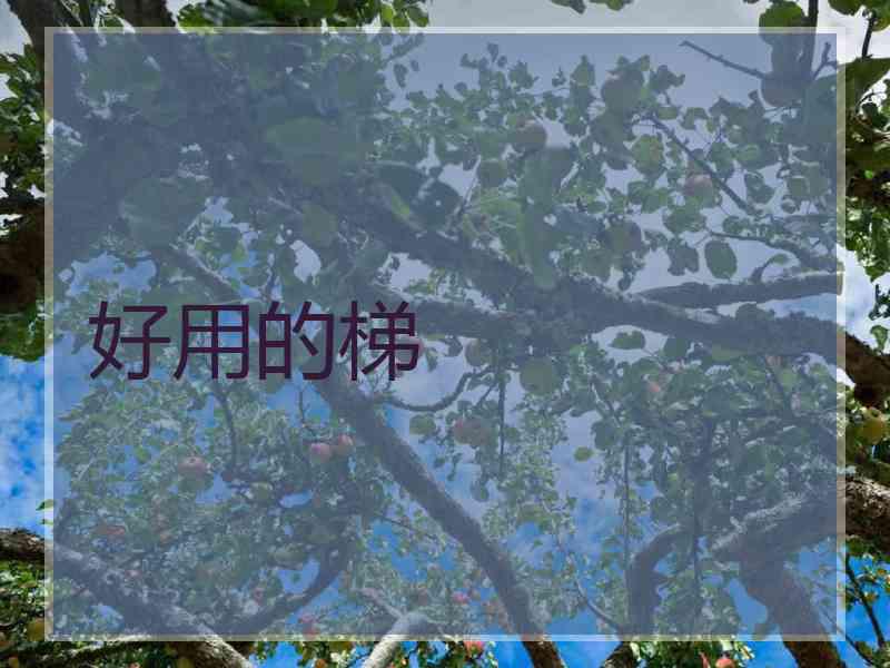 好用的梯