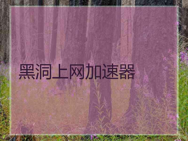 黑洞上网加速器