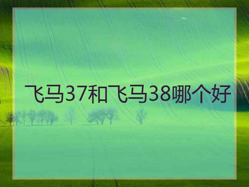 飞马37和飞马38哪个好