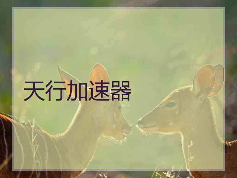 天行加速器