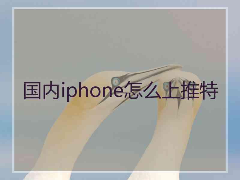 国内iphone怎么上推特