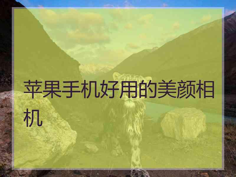 苹果手机好用的美颜相机