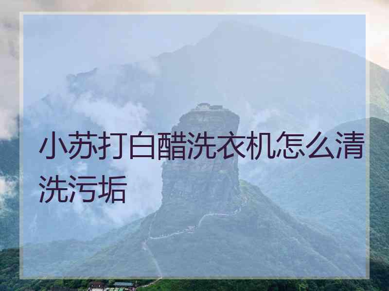 小苏打白醋洗衣机怎么清洗污垢