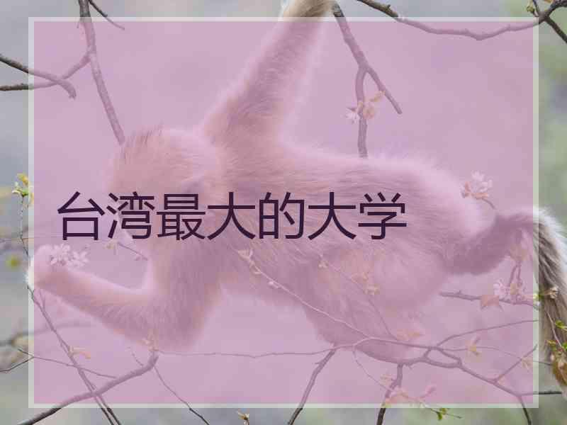 台湾最大的大学