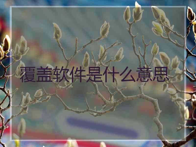 覆盖软件是什么意思
