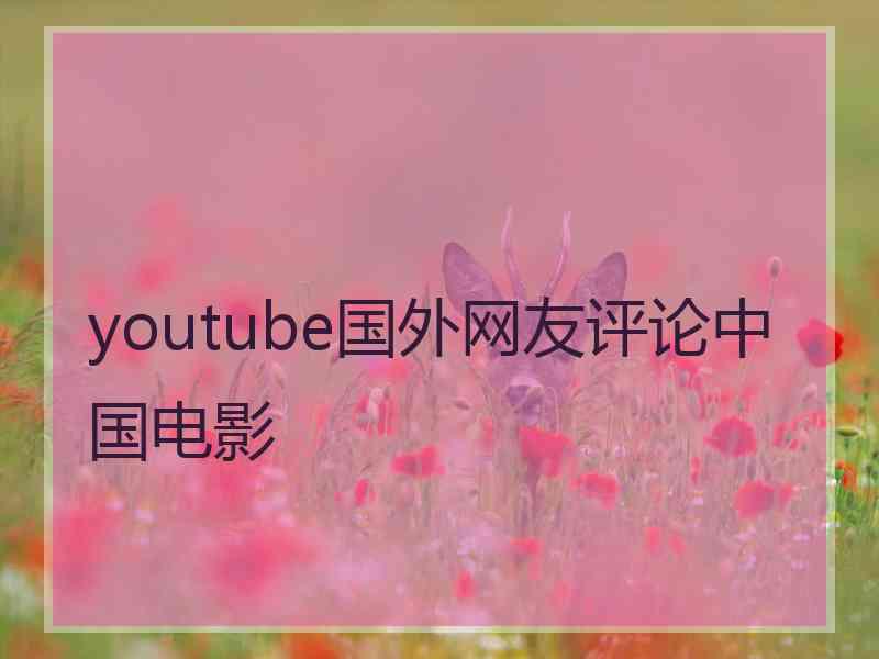 youtube国外网友评论中国电影
