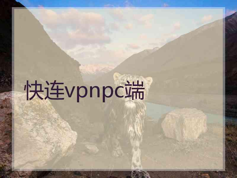 快连vpnpc端