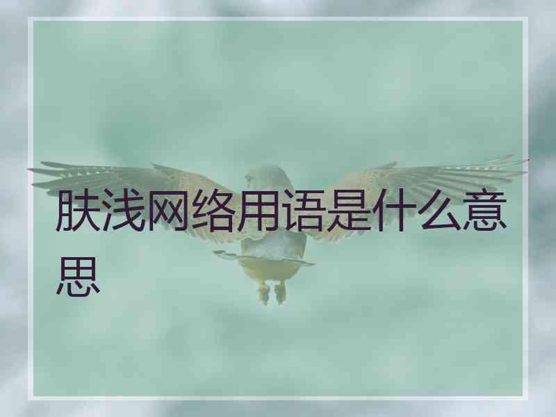 肤浅网络用语是什么意思