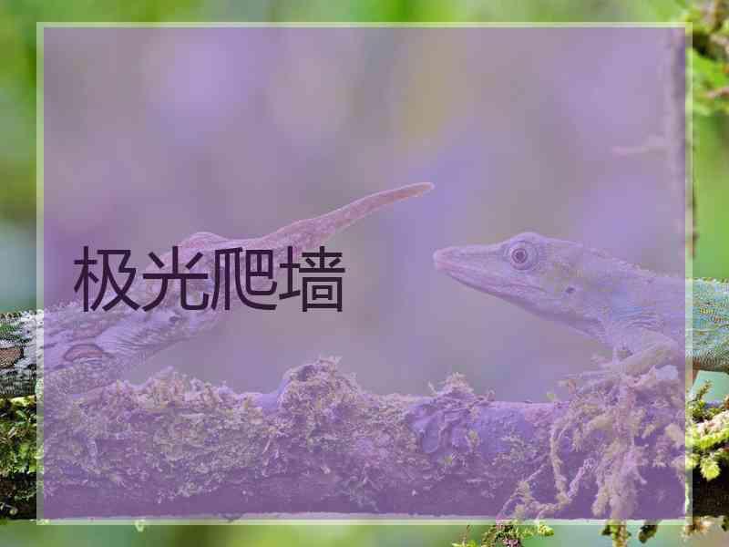 极光爬墙