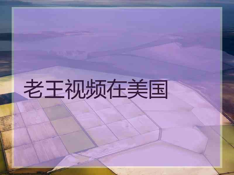 老王视频在美国