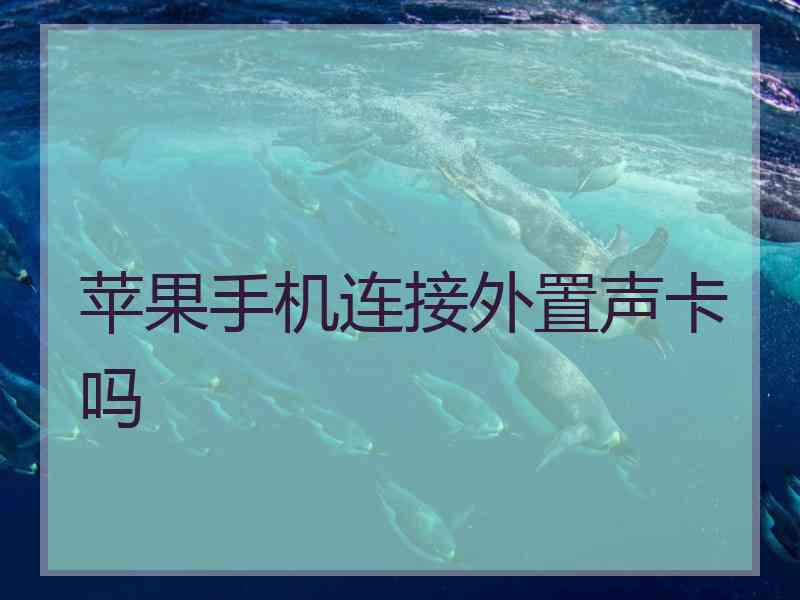 苹果手机连接外置声卡吗