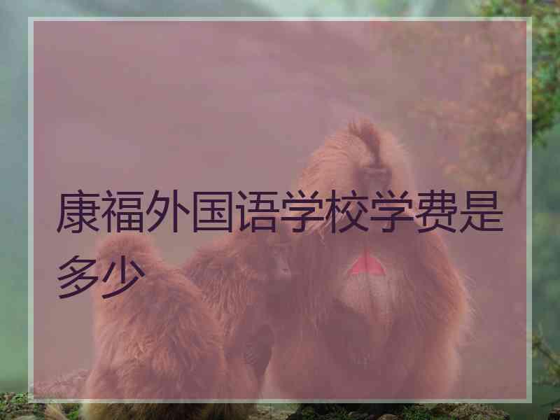 康福外国语学校学费是多少