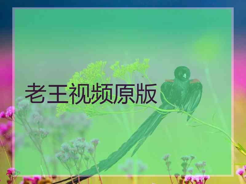 老王视频原版