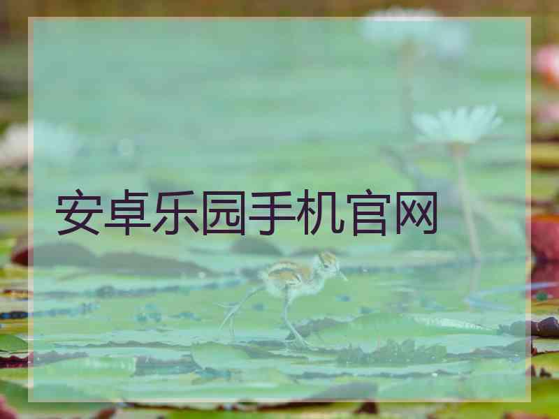 安卓乐园手机官网