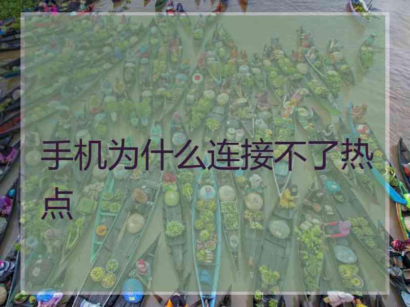 手机为什么连接不了热点