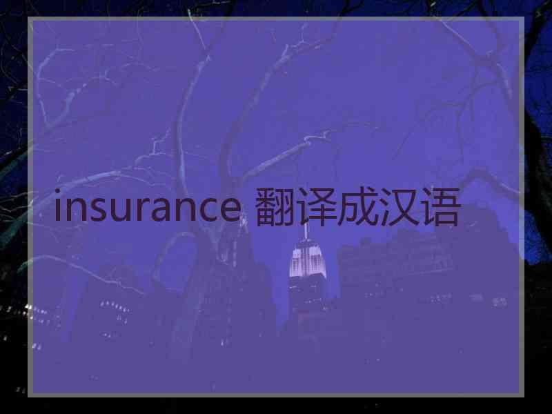 insurance 翻译成汉语