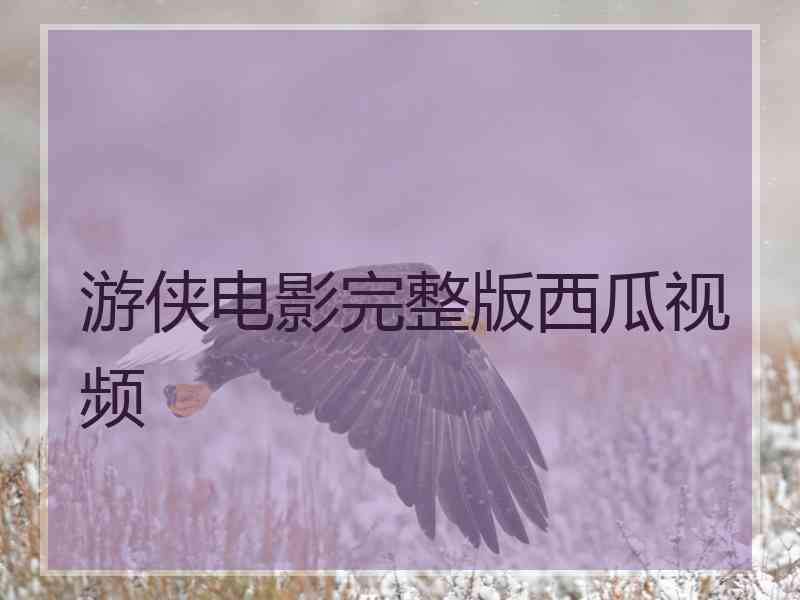 游侠电影完整版西瓜视频