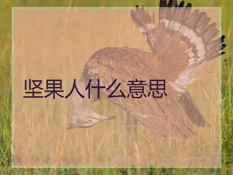 坚果人什么意思
