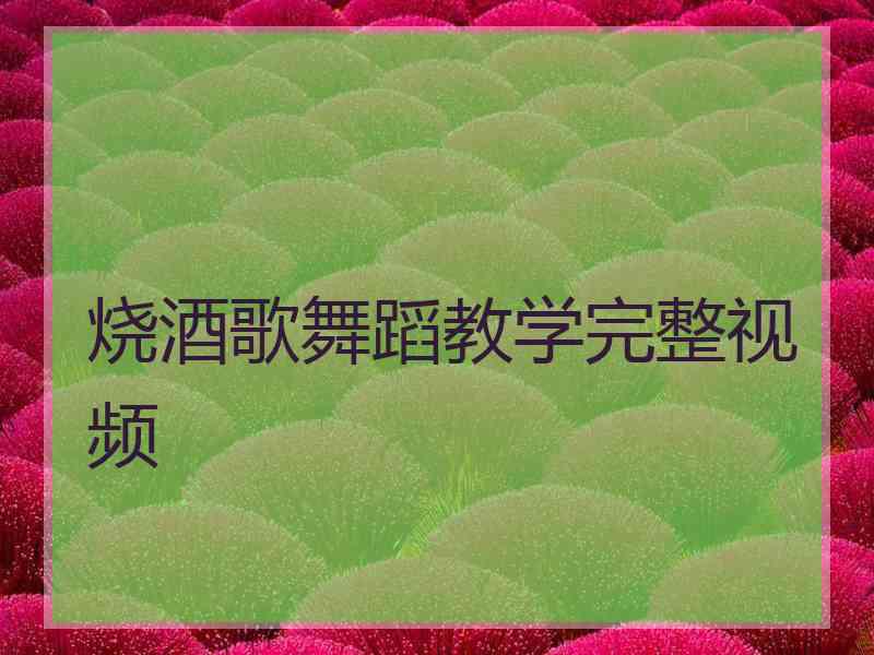 烧酒歌舞蹈教学完整视频