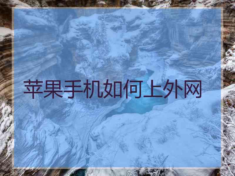 苹果手机如何上外网