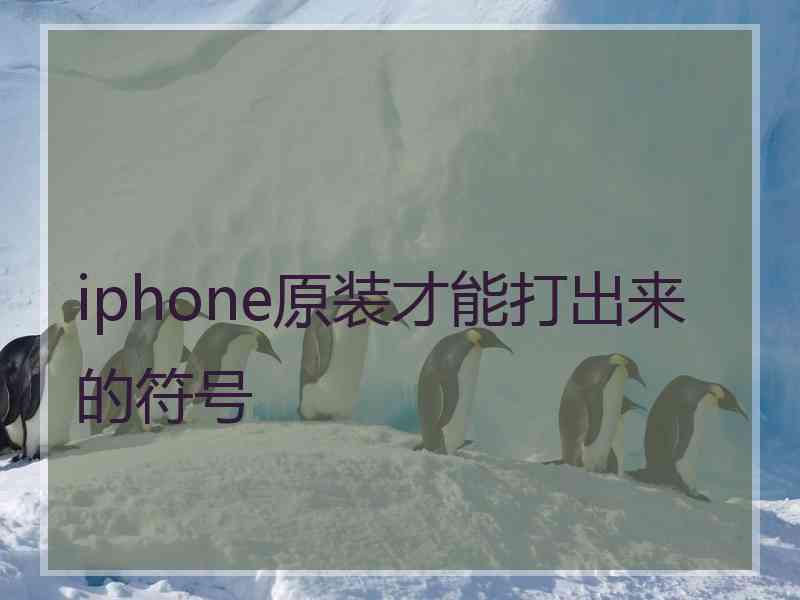 iphone原装才能打出来的符号