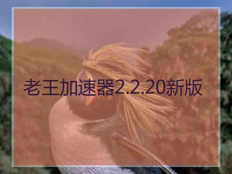 老王加速器2.2.20新版